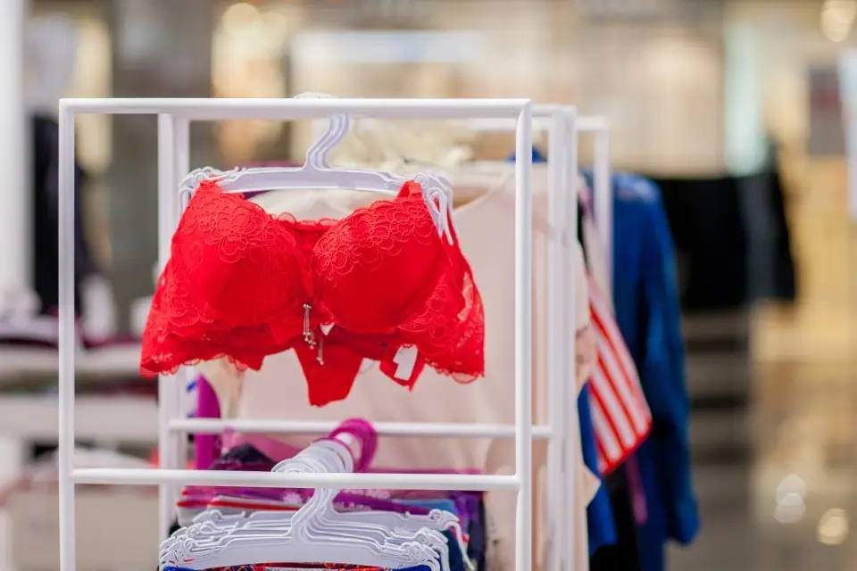 how to start a lingerie business