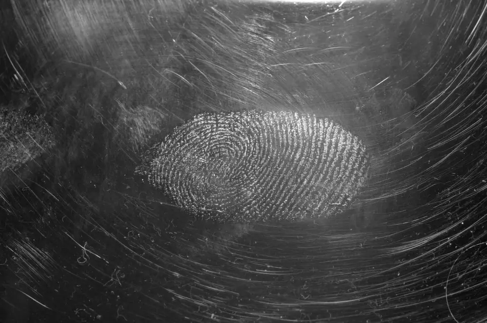 how much does it cost to start a fingerprinting business