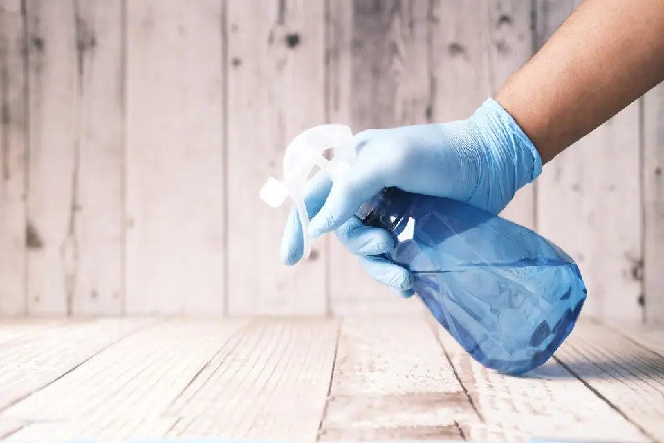 how to start a cleaning business from home