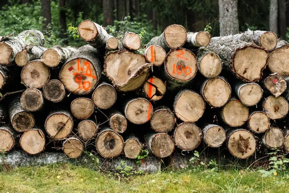 how to start a logging business