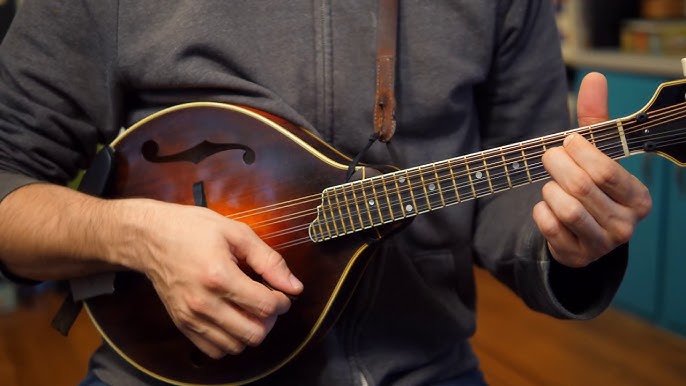 how to play mandolin beginner